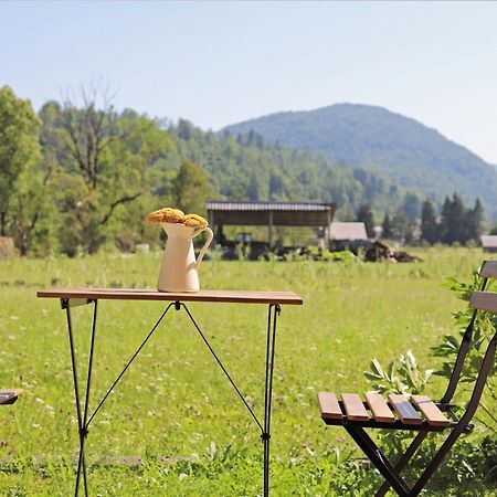 Apartments Pr' Speli ボーヒニ エクステリア 写真